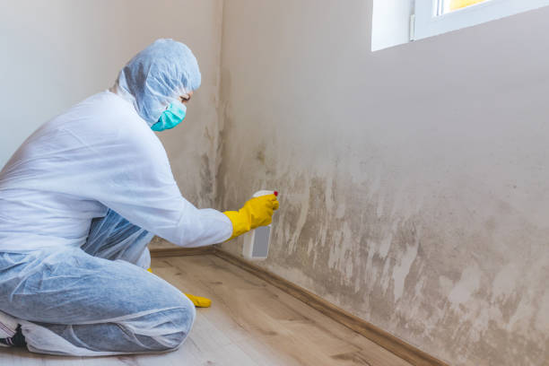 Forensic Mold Investigation in Green Hill, TN